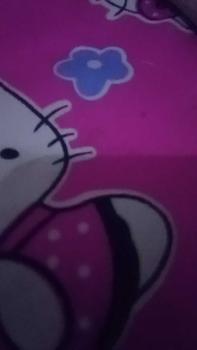 Product Review of 12pcs CD wanita Andin Celana dalam wanita CD remaja from n**i 0