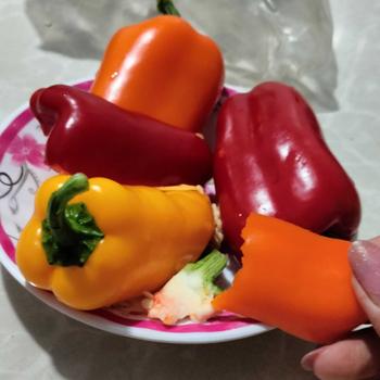 Product Review of Mặt Nạ Nóng Chườm Mắt, Giúp Thư Giãn, Giảm Căng Thẳng, Mệt Mỏi, Tăng Cường Thị Lực (Hàng Nội địa TQ) from T**h 1**6 3