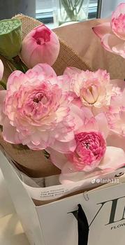 Product Review of LÁ NAM 10 VỊ -15 gói ( lá sen, chè vằng,hoa nhài,sơn tra,chỉ thực,giảo cổ lam,thảo quyết minh,phan tả diệp,vỏ bưởi, cỏ ngọt....) Nước Trà Tea Vị Ch la nam 10 vi trà  thảo  mộc  10  vị from T**u T**🐯 0