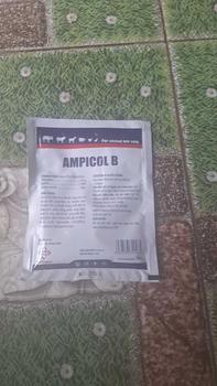 Product Review of Combo 2 gói Gà Rù, Gà Toi Ampicol B (50g) hỗ trợ viêm ruột from u**9 0