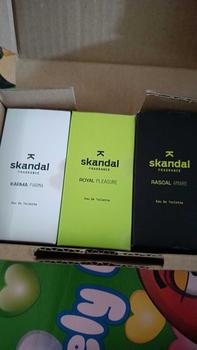 Product Review of SKANDAL Packing Box Up to 3pcs from A**n 0