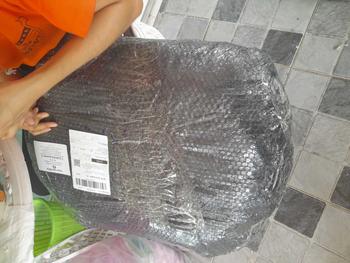 Product Review of รถเด็กหัดเดิน รถหัดเดินเด็ก เจ้าผึ้งน้อย มีเสียงดนตรี ปรับระดับได้ No.5031 from 🦋**🦋 0