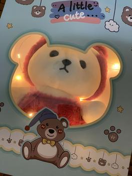 Product Review of Gấu bông Teddy Lena Cosplay cao cấp Size 30cm / 45cm Gấu Teddy Siêu Đáng Yêu HOKAMI thú nhồi bông Thú Bông from l**6 1