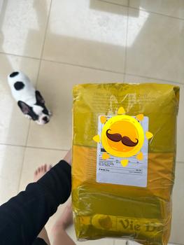 Product Review of 3KG hạt Chó Mèo PETVIE bổ sung Dầu Cá Hồi và Rau Củ giúp giảm rụng lông, giảm chảy nước mắt, khỏe mạnh from E**🎀 0