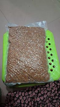 Product Review of Hạt kê  1KG cho  cảnh, Vẹt,  Yến Phụng,  cu gáy, Hamster và các dòng  sẻ cỏ  thái cỏ  thái   chim   trứng   chim   con cào  cào tổ  cho sparrow  bird food hạt  d10   chao   kích hạt  tiểu  vĩ dưỡng from T**h T**t T** 0