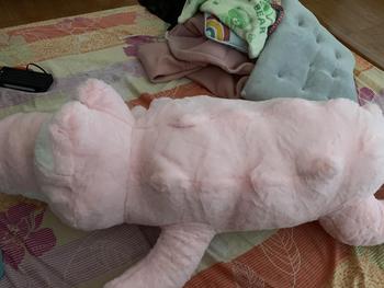 Product Review of Gấu bông 1m6  hình cá sấu xám gai lông xù khổ vải 1m7 lên form cao 1m6 Thú Bông Thú Nhồi Bông Đồ Chơi Thú Nhồi Bông Đồ Chơi from N**ê 1