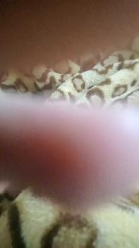 Product Review of Áo khoác vãi ati , cổ lọ ,tay 2 lớp, có4 túi, có sỏ ngón from N** T**n ** 👣** 0