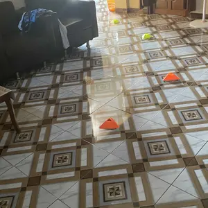 SPEEDS Agility Speed Ladder Drills training Tangga Kelincahan Ketangkasan 8m Latihan Outdoor Atlit Tangkas 039-3