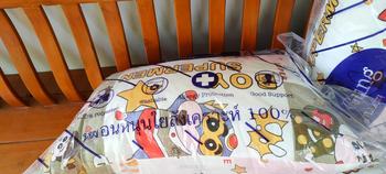 Product Review of โปรสุดคุ้ม หมอนหนุน2 แถม 1 from ล**ว 3