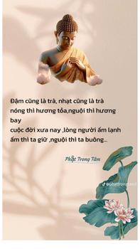 Product Review of [Tặng Hộp Nhựa] Combo 2 Túi Ngũ Cốc Gạo Lứt Huyết Rồng Xuân An 400gr Lượng đường thấp Ít chất béo Food ngucoc from H**i A** 0
