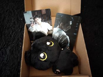 Product Review of [ENH] Unoff Enhypen Doll Plushie Jay Jake Heeseung Niki Jungwon Sunoo Sunghoon Boneka karakter Toys from a**a 1