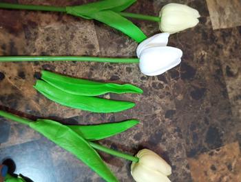 Product Review of Artificial Tulip Artificial Flower Fake Flower for Home/Party/Garden Decor 1pcs from B**e 0