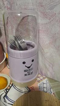 Product Review of Dustproof Chopstick Holder Cylinder Detachable Cage Flatware Rack Spoon Fork Drying Plastic Drain Storage Box With Cover Household (Purple/Blue/Pink/Beige) Organiser from M**p 0