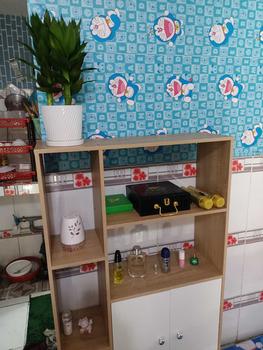 Product Review of Chậu gốm sứ trồng sen đá, xương rồng, cây cảnh trang trí sân vườn from V**g 1**🇳 2