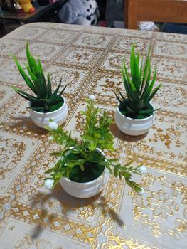 Product Review of 14cm Simulation Potted Plant Perfect Plastic Display Mold Bonsai Home Decor 1PCS MY232 from z**z 0