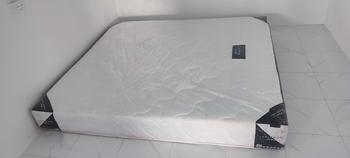 Product Review of SOLOMON ที่นอนสปริงอัจฉริยะ รุ่น Pyla Plus (พายล่า พลัส) from K**a s** 1