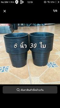 Product Review of กระถางต้นไม้ 8 นิ้ว แพ็ค 30 ใบ ราคาถูก สินค้าพร้อมส่ง from T**y ท**า เ**👻 0