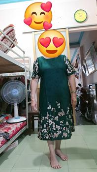 Product Review of Đầm Suông TD09 Trung Niên Màu Sắc Duyên Dáng (45kg - 95kg) Lụa Mango Họa Tiết Hoa Lá Voi Xanh Rêu Kem Voan Sen Hoa Sen Màu Đen from .**. 0