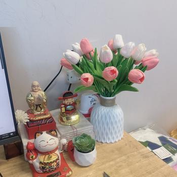 Product Review of Hoa Giả - Hoa Tulip nhiều màu sắc trang trí xinh xắn, nhẹ nhàng, phụ kiện decor phòng Hoa Sen from B** H**k X**h Đ** 3