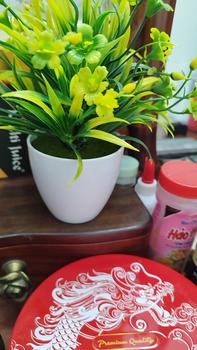 Product Review of (45-65kg) Áo ngủ Cổ Trụ Giấu Quần, lụa latin tơ tằm mát mịn, chiều dài áo 80cm, Nữ from V**à 0