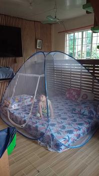 Product Review of mosquito net tent queen size 1.5M at king size 1.8M from M**0 1