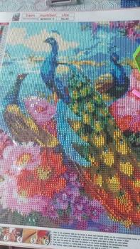 Product Review of 5D Diamond Painting Set  DIY The Peacock  Diamond Painting Tools  30cm*40cm from e**z 0