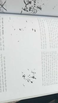 Product Review of Sách - Bí Quyết Vẽ Ký Họa from M**n b** 2
