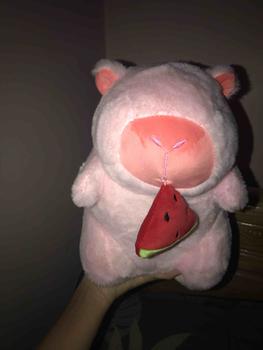 Product Review of Gấu Bông Chuột Capybara Hồng Miệng Dưa Hấu 30cm (Miệng Liền) - Thú Bông Thú Nhồi Bông Toy Đồ Chơi from 🍇**🍇 1