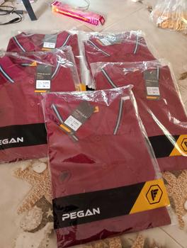 Product Review of เสื้อโปโลทรงผู้หญิง ยี่ห้อ Pegan รุ่น 16-23066 เนื้อผ้าไมโครรุ่นใหม่ Shirt Clothing คอปก from A**n 1
