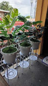 Product Review of 【BUY 1 TAKE 1】CBLUE 2 Layers Plant Stand Metal Flower Pot Stand For Plant Rack Indoor Outdoor Plant Shelf Holder from I**e D**n 1