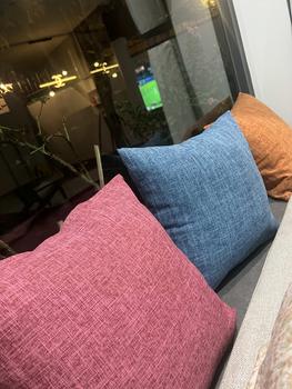 Product Review of Gối tựa lưng , gối tựa sofa, gối tựa vuông 45x45cm mã GG from l**z 0