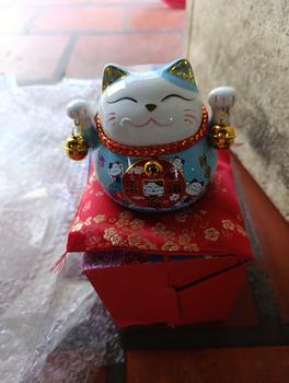 Product Review of 【Hot】 Hũ Tiết Kiệm Mèo Kèm Thảm Decor Decor Phòng Ống Heo Đựng Tiền Ống Tiết Kiệm from 🫶** Đ**🫶 2