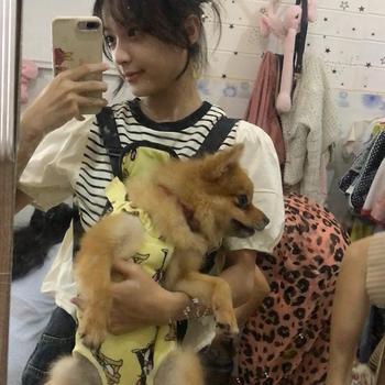 Product Review of Địu vận chuyển chó mèo vải lưới thoáng khí nhiều màu sắc from 𝐍** 𝐍** 𝐕** ఌ** 1