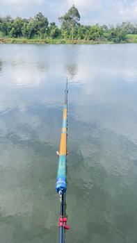 Product Review of Rọng Đựng Cá Giỏ Đựng Cá BEST SK FISHING from B** H**g V** 0