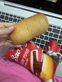 Product Review of [20 Vị] Bánh Mì Bảo Ngọc Full Vị Bông Lan Sandwich Nhân Bơ Socola Bò Gà Ruốc Chà Bông (Mới 2024) socola  12vi socola  dubai from x**u 1