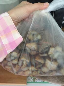 Product Review of หนังควายตากแห้ง 10 มัด 100 บาท from ห**ม 0