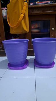 Product Review of Pot Tirus Ukuran 30 / Pot Tanaman / Pot Bunga / Umaro Perabot from @**a 0