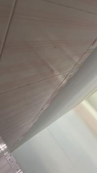 Product Review of Gấu Bông Cừu Lông Xù Đeo Túi Dễ Thương Thú Nhồi Bông Thú Bông Đồ Chơi from B** M** T**i 0
