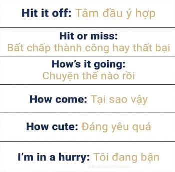 Product Review of váy tiểu thư body cúp tua rua hai  bên  LL Thun Nữ Cup from t**n 0