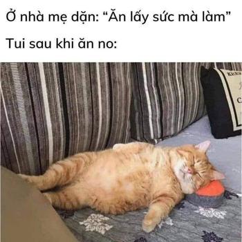 Product Review of Sét quần lót 5 cái QCL1 2.0 from ** 0