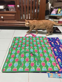 Product Review of กระเป๋าเก็บของ กระเป๋าเดินทาง กระเป๋ากระสอบ กระเป๋าอเนกประสงค์ คละลาย from M**i r**h 1
