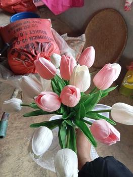 Product Review of Bó hoa tulip 15 bông cầm tay cô dâu, chụp ảnh, decor from g**h 0