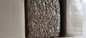 Product Review of Chân Nấm Hương Khô Việt Nam túi 1kg from H**g N**g 0