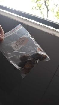 Product Review of Quả Kha Tử (Gói 50g-100g) from T**g T** H**g 2