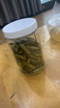 Product Review of Ớt xiêm xanh ngâm chua ngọt ( ngâm giấm gạo ) Cay Food from L** T** M** T**n 0