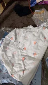 Product Review of Set 10 Quần Lót Nữ Cotton Thỏ Con Xinh Yêu Ngang Eo Thời Trang Dễ Thương 8015 Women Nhung from Đ** Đ** S**e 9** 3