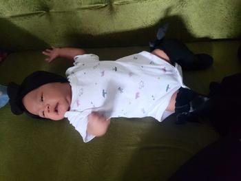 Product Review of YOURBABYNEEDS Bodysuit Jumper Lengan Pendek Bayi Perempuan dan Bayi Cowok 5in1 Motif Karakter Lucu Berbahan Katun Adem Premium Import Nyaman Digunakan Untuk Bayi Usia Baru Lahir Newborn Sampai 9 Bulan Baru from H**a T**a I**a 0