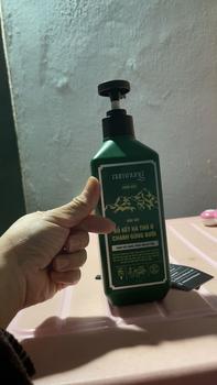 Product Review of Combo dầu gội thảo dược bản giảm dầu kèm serum Nam Nung hỗ trợ giảm rụng, hỗ trợ mọc tóc con Dưỡng Tóc Chăm Sóc Tóc from H**n 1