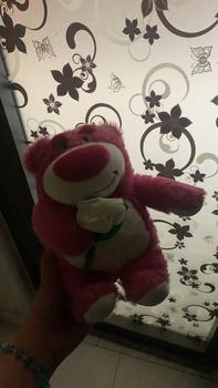 Product Review of Gấu Dâu  Lotso bế trái dâu Toy Thú Nhồi Bông Thú Bông Đồ Chơi from ** 0
