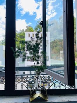 Product Review of (Mộc Khuê Decor) - Bình hoa trang trí nghệ thuật - lọ hoa thủy tinh khung sắt mạ vàng hình ngôi sao trái tim hiện đại dùng cắm hoa trang trí tiệc cưới sinh nhật tuyệt đẹp Decor, Decor Phòng bình hoa  nối liền cổ đại from T**m n** D**n 0